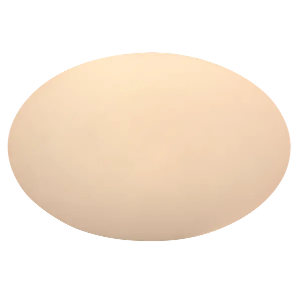 Oval 28
